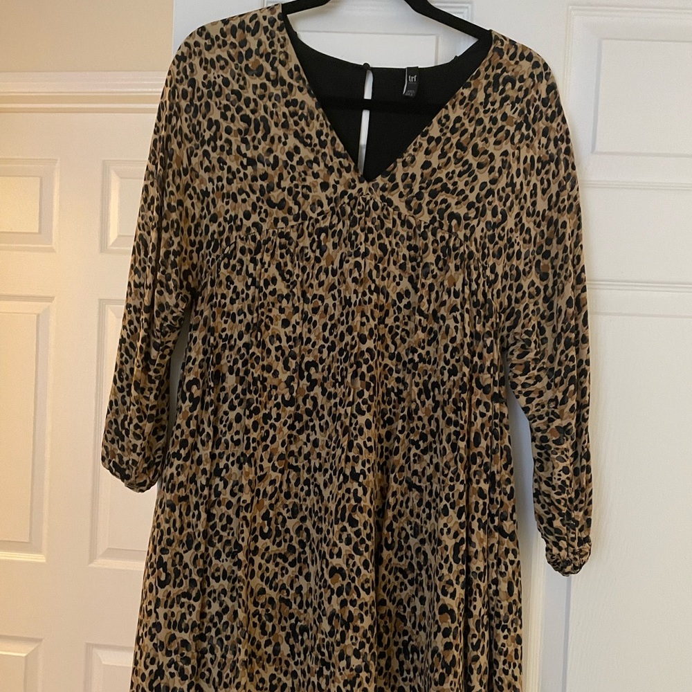 Leopard Print Dress - Zara